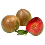 שזיף