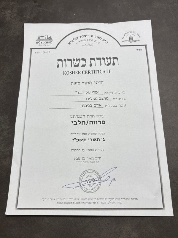 WhatsApp Image 2026-03-29 at 22.01.28